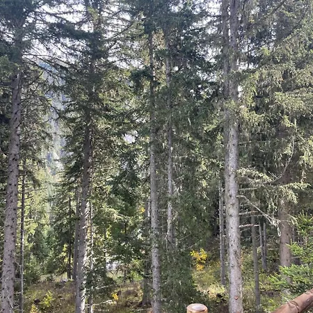 Cozy 30 M To Enjoy The Mountains شقة كورشوفيل