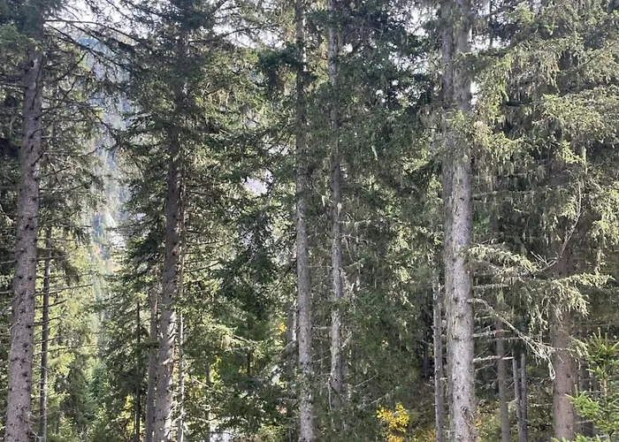 Cozy 30 M To Enjoy The Mountains شقة كورشوفيل